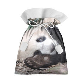 Подарочный 3D мешок с принтом Лапка панда в Екатеринбурге, 100% полиэстер | Размер: 29*39 см | бамбук | животное | медведь