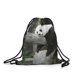Рюкзак-мешок 3D с принтом Большая уставшая панда в Екатеринбурге, 100% полиэстер | плотность ткани — 200 г/м2, размер — 35 х 45 см; лямки — толстые шнурки, застежка на шнуровке, без карманов и подкладки | бамбук | животное | медведь