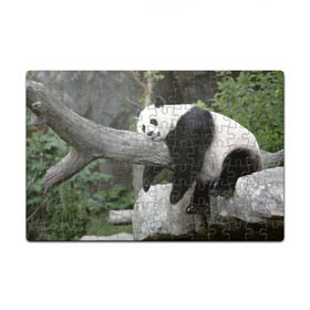 Пазл магнитный 126 элементов с принтом Большая уставшая панда в Екатеринбурге, полимерный материал с магнитным слоем | 126 деталей, размер изделия —  180*270 мм | бамбук | животное | медведь