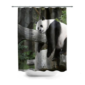 Штора 3D для ванной с принтом Большая уставшая панда в Екатеринбурге, 100% полиэстер | плотность материала — 100 г/м2. Стандартный размер — 146 см х 180 см. По верхнему краю — пластиковые люверсы для креплений. В комплекте 10 пластиковых колец | бамбук | животное | медведь