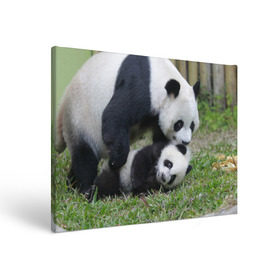 Холст прямоугольный с принтом Мамочка и сыночек панды в Екатеринбурге, 100% ПВХ |  | бамбук | животное | медведь
