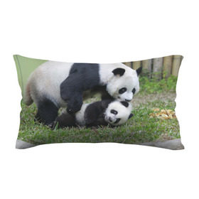 Подушка 3D антистресс с принтом Мамочка и сыночек панды в Екатеринбурге, наволочка — 100% полиэстер, наполнитель — вспененный полистирол | состоит из подушки и наволочки на молнии | бамбук | животное | медведь