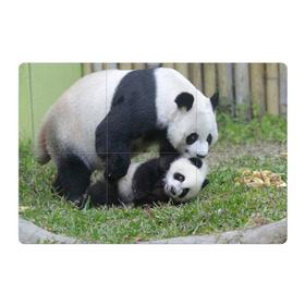 Магнитный плакат 3Х2 с принтом Мамочка и сыночек панды в Екатеринбурге, Полимерный материал с магнитным слоем | 6 деталей размером 9*9 см | бамбук | животное | медведь