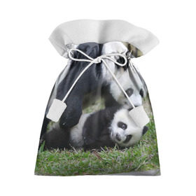 Подарочный 3D мешок с принтом Мамочка и сыночек панды в Екатеринбурге, 100% полиэстер | Размер: 29*39 см | бамбук | животное | медведь
