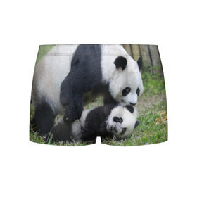 Мужские трусы 3D с принтом Мамочка и сыночек панды в Екатеринбурге, 50% хлопок, 50% полиэстер | классическая посадка, на поясе мягкая тканевая резинка | бамбук | животное | медведь