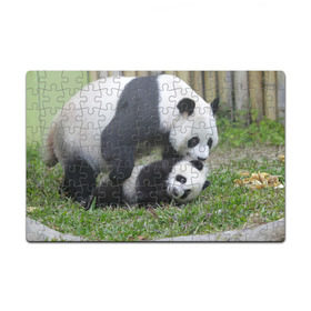 Пазл магнитный 126 элементов с принтом Мамочка и сыночек панды в Екатеринбурге, полимерный материал с магнитным слоем | 126 деталей, размер изделия —  180*270 мм | бамбук | животное | медведь