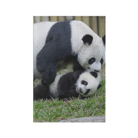 Обложка для паспорта матовая кожа с принтом Мамочка и сыночек панды в Екатеринбурге, натуральная матовая кожа | размер 19,3 х 13,7 см; прозрачные пластиковые крепления | бамбук | животное | медведь