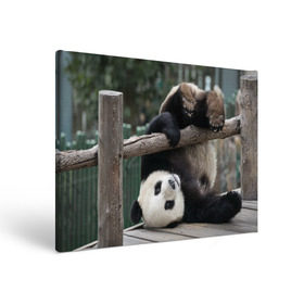 Холст прямоугольный с принтом Паркур панда в Екатеринбурге, 100% ПВХ |  | Тематика изображения на принте: бамбук | животное | медведь