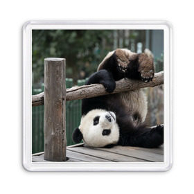 Магнит 55*55 с принтом Паркур панда в Екатеринбурге, Пластик | Размер: 65*65 мм; Размер печати: 55*55 мм | бамбук | животное | медведь