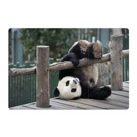 Магнитный плакат 3Х2 с принтом Паркур панда в Екатеринбурге, Полимерный материал с магнитным слоем | 6 деталей размером 9*9 см | бамбук | животное | медведь