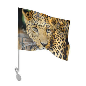 Флаг для автомобиля с принтом Леопард в Екатеринбурге, 100% полиэстер | Размер: 30*21 см | властелин | глаз | грация | животные | зверь | кот | кошачий | кошки | крупный | леопард | лес | млекопитающее | природа | пятна | рыжий | усатый | усы | фауна | флора | хищник | хозяин | царь джунгли