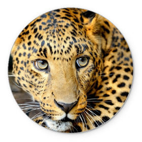 Коврик круглый с принтом Леопард в Екатеринбурге, резина и полиэстер | круглая форма, изображение наносится на всю лицевую часть | Тематика изображения на принте: властелин | глаз | грация | животные | зверь | кот | кошачий | кошки | крупный | леопард | лес | млекопитающее | природа | пятна | рыжий | усатый | усы | фауна | флора | хищник | хозяин | царь джунгли