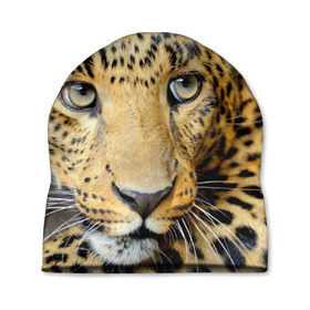 Шапка 3D с принтом Леопард в Екатеринбурге, 100% полиэстер | универсальный размер, печать по всей поверхности изделия | властелин | глаз | грация | животные | зверь | кот | кошачий | кошки | крупный | леопард | лес | млекопитающее | природа | пятна | рыжий | усатый | усы | фауна | флора | хищник | хозяин | царь джунгли