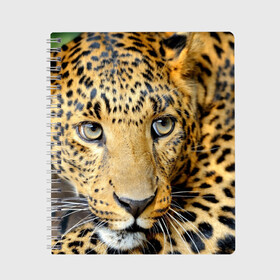 Тетрадь с принтом Леопард в Екатеринбурге, 100% бумага | 48 листов, плотность листов — 60 г/м2, плотность картонной обложки — 250 г/м2. Листы скреплены сбоку удобной пружинной спиралью. Уголки страниц и обложки скругленные. Цвет линий — светло-серый
 | властелин | глаз | грация | животные | зверь | кот | кошачий | кошки | крупный | леопард | лес | млекопитающее | природа | пятна | рыжий | усатый | усы | фауна | флора | хищник | хозяин | царь джунгли