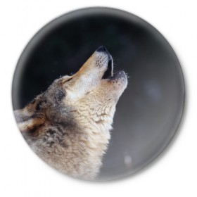 Значок с принтом Вой серого волка в Екатеринбурге,  металл | круглая форма, металлическая застежка в виде булавки | Тематика изображения на принте: серый