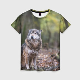 Женская футболка 3D с принтом Серый волк в Екатеринбурге, 100% полиэфир ( синтетическое хлопкоподобное полотно) | прямой крой, круглый вырез горловины, длина до линии бедер | бирюк | волк | волчара | волчица | волчок | глаза | животное | животные | зверь | зеленые | койот | лес | млекопитающее | природа | санитар леса | серый | уши | фауна | хищник | черный | шакал