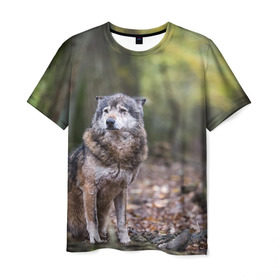 Мужская футболка 3D с принтом Серый волк в Екатеринбурге, 100% полиэфир | прямой крой, круглый вырез горловины, длина до линии бедер | бирюк | волк | волчара | волчица | волчок | глаза | животное | животные | зверь | зеленые | койот | лес | млекопитающее | природа | санитар леса | серый | уши | фауна | хищник | черный | шакал