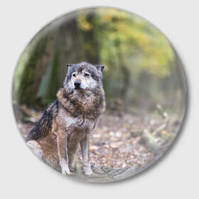 Значок с принтом Серый волк в Екатеринбурге,  металл | круглая форма, металлическая застежка в виде булавки | бирюк | волк | волчара | волчица | волчок | глаза | животное | животные | зверь | зеленые | койот | лес | млекопитающее | природа | санитар леса | серый | уши | фауна | хищник | черный | шакал