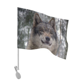 Флаг для автомобиля с принтом Серый волк в Екатеринбурге, 100% полиэстер | Размер: 30*21 см | бирюк | волк | волчара | волчица | волчок | глаза | животное | животные | зверь | зеленые | койот | лес | млекопитающее | природа | санитар леса | серый | уши | фауна | хищник | черный | шакал
