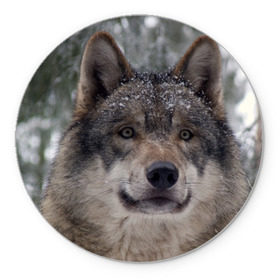 Коврик круглый с принтом Серый волк в Екатеринбурге, резина и полиэстер | круглая форма, изображение наносится на всю лицевую часть | бирюк | волк | волчара | волчица | волчок | глаза | животное | животные | зверь | зеленые | койот | лес | млекопитающее | природа | санитар леса | серый | уши | фауна | хищник | черный | шакал