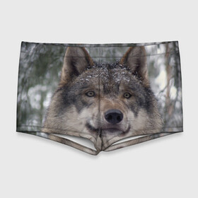 Мужские купальные плавки 3D с принтом Серый волк в Екатеринбурге, Полиэстер 85%, Спандекс 15% |  | Тематика изображения на принте: бирюк | волк | волчара | волчица | волчок | глаза | животное | животные | зверь | зеленые | койот | лес | млекопитающее | природа | санитар леса | серый | уши | фауна | хищник | черный | шакал