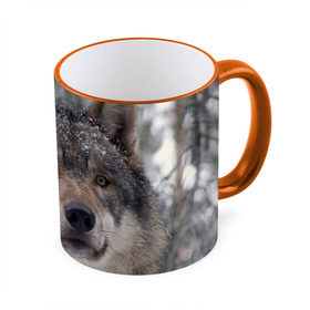 Кружка 3D с принтом Серый волк в Екатеринбурге, керамика | ёмкость 330 мл | бирюк | волк | волчара | волчица | волчок | глаза | животное | животные | зверь | зеленые | койот | лес | млекопитающее | природа | санитар леса | серый | уши | фауна | хищник | черный | шакал
