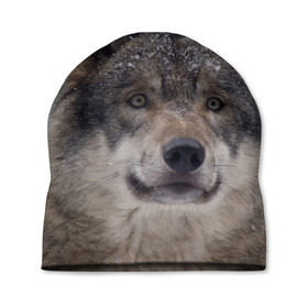 Шапка 3D с принтом Серый волк в Екатеринбурге, 100% полиэстер | универсальный размер, печать по всей поверхности изделия | Тематика изображения на принте: бирюк | волк | волчара | волчица | волчок | глаза | животное | животные | зверь | зеленые | койот | лес | млекопитающее | природа | санитар леса | серый | уши | фауна | хищник | черный | шакал