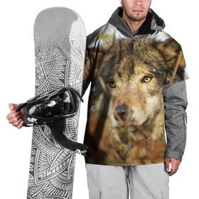 Накидка на куртку 3D с принтом Волк в Екатеринбурге, 100% полиэстер |  | бирюк | волк | волчара | волчица | волчок | глаза | животное | животные | зверь | зеленые | койот | лес | млекопитающее | природа | санитар леса | серый | уши | фауна | хищник | черный | шакал