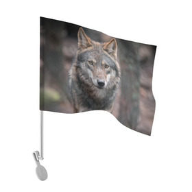Флаг для автомобиля с принтом Волк - санитар леса в Екатеринбурге, 100% полиэстер | Размер: 30*21 см | серый