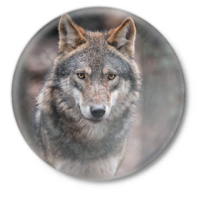 Значок с принтом Волк - санитар леса в Екатеринбурге,  металл | круглая форма, металлическая застежка в виде булавки | серый