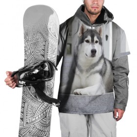 Накидка на куртку 3D с принтом Волчья парода в Екатеринбурге, 100% полиэстер |  | аука | бирюк | волк | волчара | волчица | волчок | город | животное | животные | зверь | койот | лес | млекопитающее | парода | санитар леса | серый | собака | уши | фауна | хищник | черный | шакал