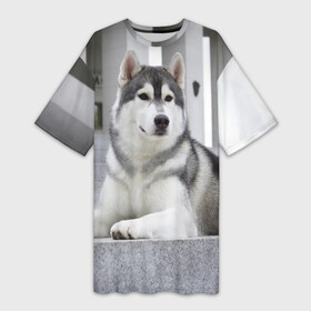 Платье-футболка 3D с принтом Волчья парода в Екатеринбурге,  |  | аука | бирюк | волк | волчара | волчица | волчок | город | животное | животные | зверь | койот | лес | млекопитающее | парода | санитар леса | серый | собака | уши | фауна | хищник | черный | шакал