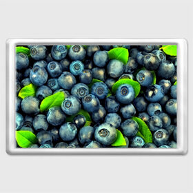 Магнит 45*70 с принтом Голубика в Екатеринбурге, Пластик | Размер: 78*52 мм; Размер печати: 70*45 | blueberry | голубика | черника | ягоды