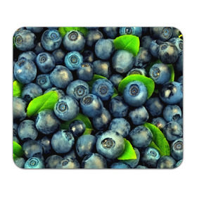 Коврик прямоугольный с принтом Голубика в Екатеринбурге, натуральный каучук | размер 230 х 185 мм; запечатка лицевой стороны | blueberry | голубика | черника | ягоды