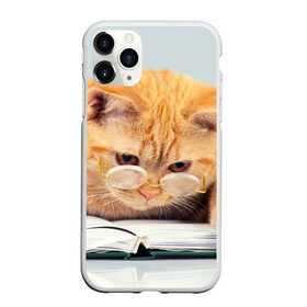 Чехол для iPhone 11 Pro матовый с принтом Кот ученый в Екатеринбурге, Силикон |  | Тематика изображения на принте: грустный | добрый | животное | киса | киска | кот | котенок | котэ | кошка | красивый | лапа | лапка | ласковый | милый | очки | прикольный | рыжий | смешной | унылый | усатый | шерсть
