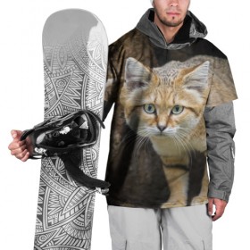 Накидка на куртку 3D с принтом Песчаный кот в Екатеринбурге, 100% полиэстер |  | грустный | добрый | животное | киса | киска кися | кот | котенок | котэ | кошка | красивый | лапа | лапка | ласковый | милый | моська | мурлыка | прикольный | смешной | унылый | усатый | шерсть