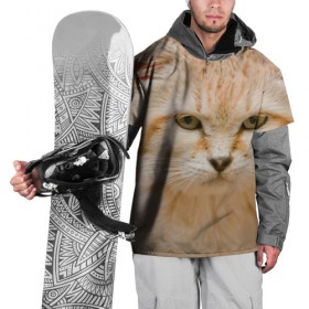 Накидка на куртку 3D с принтом Рыжий кот в Екатеринбурге, 100% полиэстер |  | грустный | добрый | животное | киса | киска кися | кот | котенок | котэ | кошка | красивый | лапа | лапка | ласковый | милый | моська | мурлыка | прикольный | смешной | унылый | усатый | шерсть