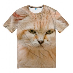 Мужская футболка 3D с принтом Рыжий кот в Екатеринбурге, 100% полиэфир | прямой крой, круглый вырез горловины, длина до линии бедер | Тематика изображения на принте: грустный | добрый | животное | киса | киска кися | кот | котенок | котэ | кошка | красивый | лапа | лапка | ласковый | милый | моська | мурлыка | прикольный | смешной | унылый | усатый | шерсть