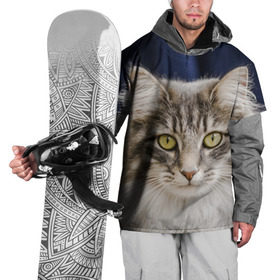 Накидка на куртку 3D с принтом Серый кот в Екатеринбурге, 100% полиэстер |  | грустный | добрый | животное | киса | киска кися | кот | котенок | котэ | кошка | красивый | лапа | лапка | ласковый | милый | моська | мурлыка | прикольный | смешной | унылый | усатый | шерсть