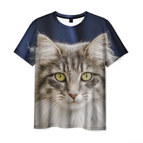Мужская футболка 3D с принтом Серый кот в Екатеринбурге, 100% полиэфир | прямой крой, круглый вырез горловины, длина до линии бедер | грустный | добрый | животное | киса | киска кися | кот | котенок | котэ | кошка | красивый | лапа | лапка | ласковый | милый | моська | мурлыка | прикольный | смешной | унылый | усатый | шерсть