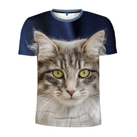 Мужская футболка 3D спортивная с принтом Серый кот в Екатеринбурге, 100% полиэстер с улучшенными характеристиками | приталенный силуэт, круглая горловина, широкие плечи, сужается к линии бедра | Тематика изображения на принте: грустный | добрый | животное | киса | киска кися | кот | котенок | котэ | кошка | красивый | лапа | лапка | ласковый | милый | моська | мурлыка | прикольный | смешной | унылый | усатый | шерсть