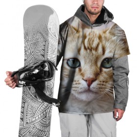 Накидка на куртку 3D с принтом Рыжий кот, зеленые глаза в Екатеринбурге, 100% полиэстер |  | грустный | добрый | животное | киса | киска кися | кот | котенок | котэ | кошка | красивый | лапа | лапка | ласковый | милый | моська | мурлыка | прикольный | смешной | унылый | усатый | шерсть