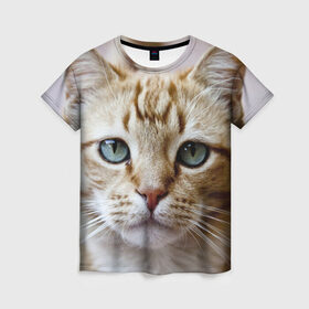 Женская футболка 3D с принтом Рыжий кот, зеленые глаза в Екатеринбурге, 100% полиэфир ( синтетическое хлопкоподобное полотно) | прямой крой, круглый вырез горловины, длина до линии бедер | грустный | добрый | животное | киса | киска кися | кот | котенок | котэ | кошка | красивый | лапа | лапка | ласковый | милый | моська | мурлыка | прикольный | смешной | унылый | усатый | шерсть