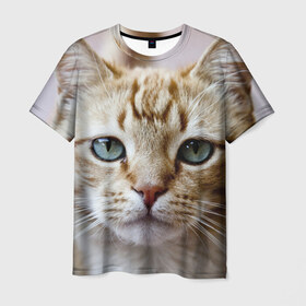 Мужская футболка 3D с принтом Рыжий кот, зеленые глаза в Екатеринбурге, 100% полиэфир | прямой крой, круглый вырез горловины, длина до линии бедер | Тематика изображения на принте: грустный | добрый | животное | киса | киска кися | кот | котенок | котэ | кошка | красивый | лапа | лапка | ласковый | милый | моська | мурлыка | прикольный | смешной | унылый | усатый | шерсть
