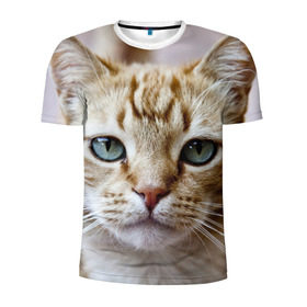 Мужская футболка 3D спортивная с принтом Рыжий кот, зеленые глаза в Екатеринбурге, 100% полиэстер с улучшенными характеристиками | приталенный силуэт, круглая горловина, широкие плечи, сужается к линии бедра | Тематика изображения на принте: грустный | добрый | животное | киса | киска кися | кот | котенок | котэ | кошка | красивый | лапа | лапка | ласковый | милый | моська | мурлыка | прикольный | смешной | унылый | усатый | шерсть