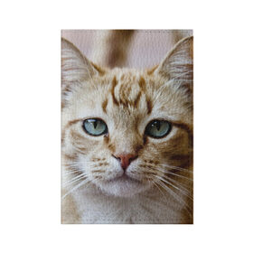 Обложка для паспорта матовая кожа с принтом Рыжий кот, зеленые глаза в Екатеринбурге, натуральная матовая кожа | размер 19,3 х 13,7 см; прозрачные пластиковые крепления | Тематика изображения на принте: грустный | добрый | животное | киса | киска кися | кот | котенок | котэ | кошка | красивый | лапа | лапка | ласковый | милый | моська | мурлыка | прикольный | смешной | унылый | усатый | шерсть