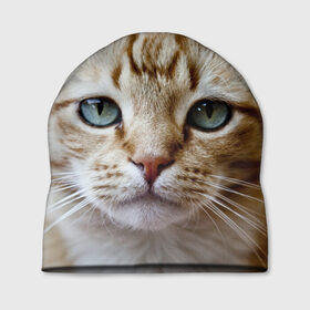 Шапка 3D с принтом Рыжий кот, зеленые глаза в Екатеринбурге, 100% полиэстер | универсальный размер, печать по всей поверхности изделия | грустный | добрый | животное | киса | киска кися | кот | котенок | котэ | кошка | красивый | лапа | лапка | ласковый | милый | моська | мурлыка | прикольный | смешной | унылый | усатый | шерсть