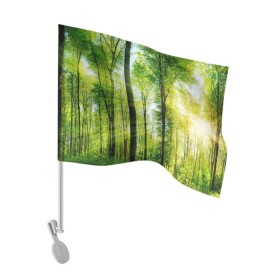 Флаг для автомобиля с принтом Солнечный лес в Екатеринбурге, 100% полиэстер | Размер: 30*21 см | деревья | зелень | лес | лето | лучи солнца | солнце | тайга