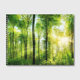 Альбом для рисования с принтом Солнечный лес в Екатеринбурге, 100% бумага
 | матовая бумага, плотность 200 мг. | деревья | зелень | лес | лето | лучи солнца | солнце | тайга