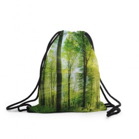 Рюкзак-мешок 3D с принтом Солнечный лес в Екатеринбурге, 100% полиэстер | плотность ткани — 200 г/м2, размер — 35 х 45 см; лямки — толстые шнурки, застежка на шнуровке, без карманов и подкладки | деревья | зелень | лес | лето | лучи солнца | солнце | тайга